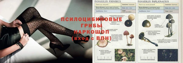 прущая мука Белоозёрский