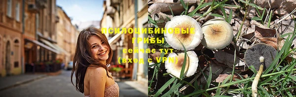 твердый Белокуриха