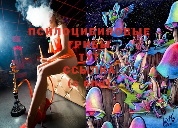 твердый Белокуриха