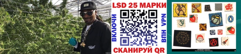 Марки N-bome 1,8мг  Купить где  Миньяр 